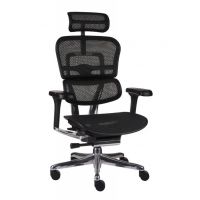 GROSPOL - ERGOHUMAN 2 ELITE ST Fotel Obrotowy BS Black | Czarny Stelaż | Czarna Siatka | Mechanizm Drift Tilt | Podłokietnik 5D | Fotel do 150 kg | Zgodny z Rozporządzeniem z 2023 roku