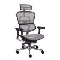 GROSPOL - ERGOHUMAN 2 ELITE ST Fotel Obrotowy BS Grey | Czarny Stelaż | Szara Siatka | Mechanizm Drift Tilt | Podłokietnik 5D | Fotel do 150 kg | Zgodny z Rozporządzeniem z 2023 roku