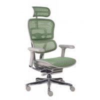 GROSPOL - ERGOHUMAN 2 ELITE ST Fotel Obrotowy GS Green | Szary Stelaż | Zielona Siatka | Mechanizm Drift Tilt | Podłokietnik 5D | Fotel do 150 kg | Zgodny z Rozporządzeniem z 2023 roku