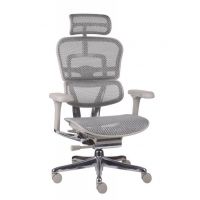 GROSPOL - ERGOHUMAN 2 ELITE ST Fotel Obrotowy GS Grey | Szary Stelaż | Szara Siatka | Mechanizm Drift Tilt | Podłokietnik 5D | Fotel do 150 kg | Zgodny z Rozporządzeniem z 2023 roku