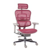 GROSPOL - ERGOHUMAN 2 ELITE ST Fotel Obrotowy GS Pink | Szary Stelaż | Różowa Siatka | Mechanizm Drift Tilt | Podłokietnik 5D | Fotel do 150 kg | Zgodny z Rozporządzeniem z 2023 roku